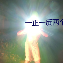 一(一)正(正)一反(反)两(兩)个b