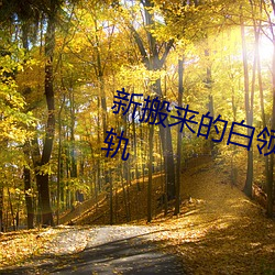 新(xīn)搬来的白领女邻居(jū)套路我(wǒ)出轨出轨(guǐ)