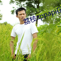 荔枝appapi在線cctv