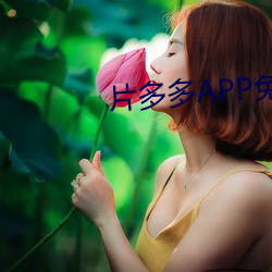 片多多app免费观看高清(清)影